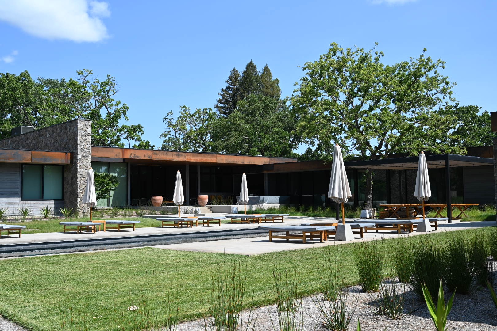 watercolor impressionist painting